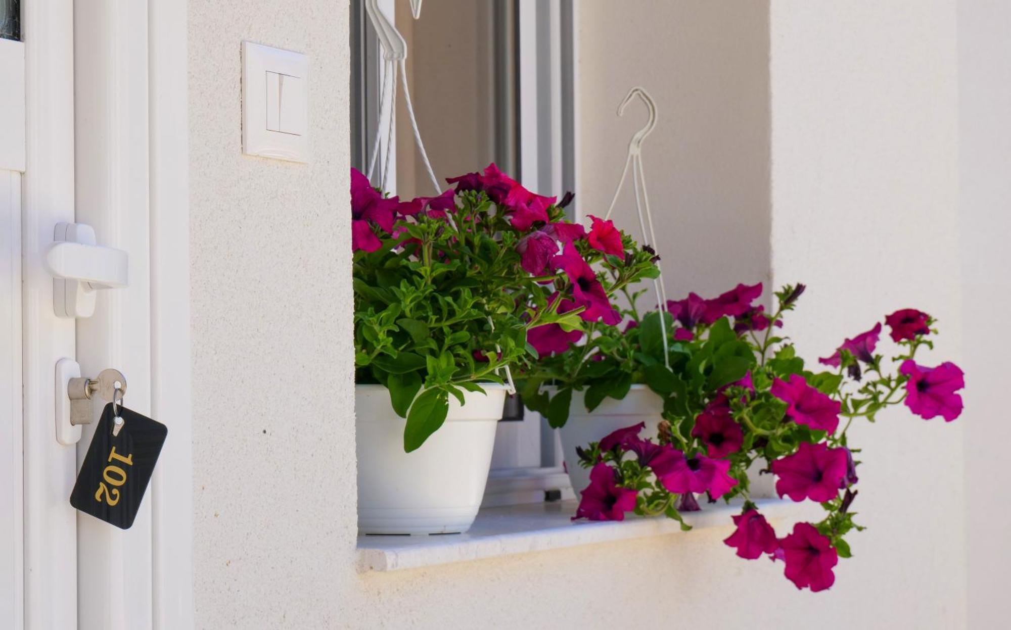 Dario Guest house