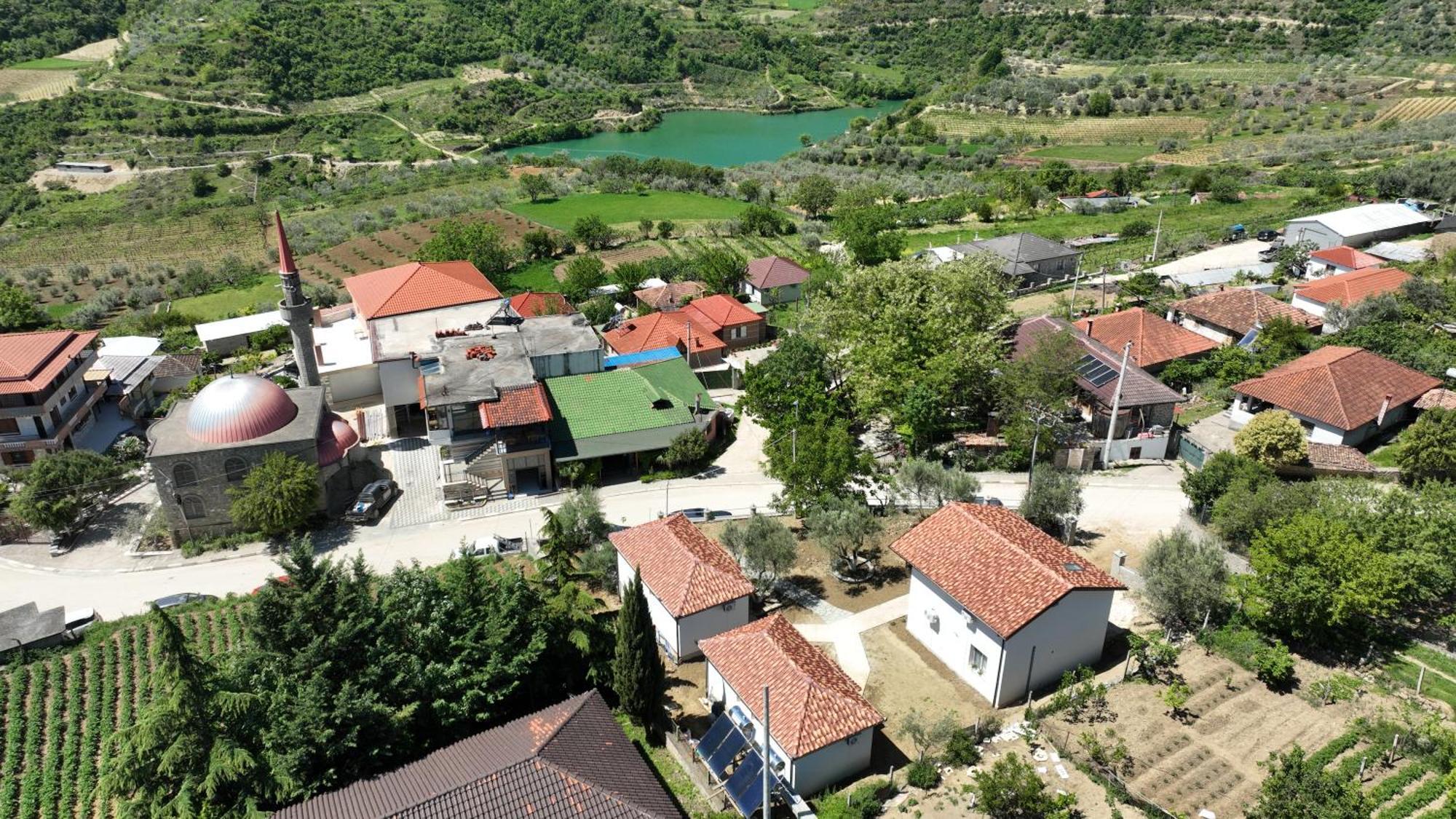 Dario Berat