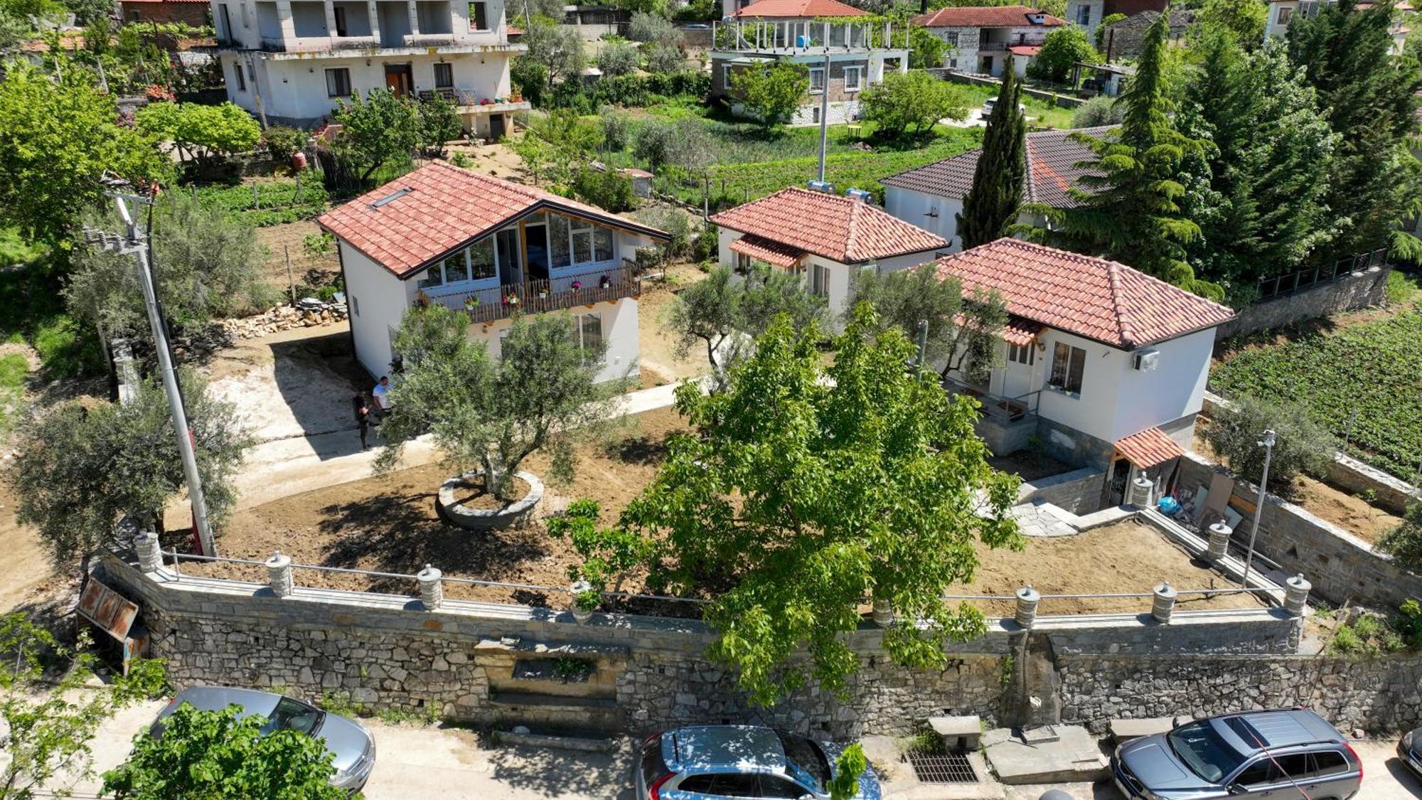 Dario * Berat